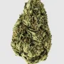 Насіння конопель Cookie Casket від Barney's Farm
